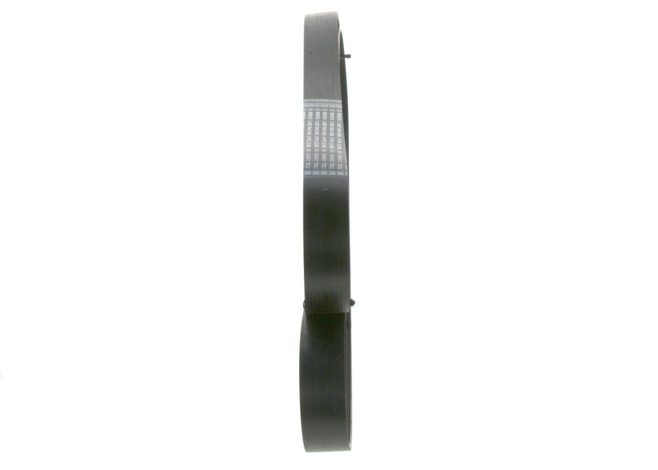 V-ribbed Belt