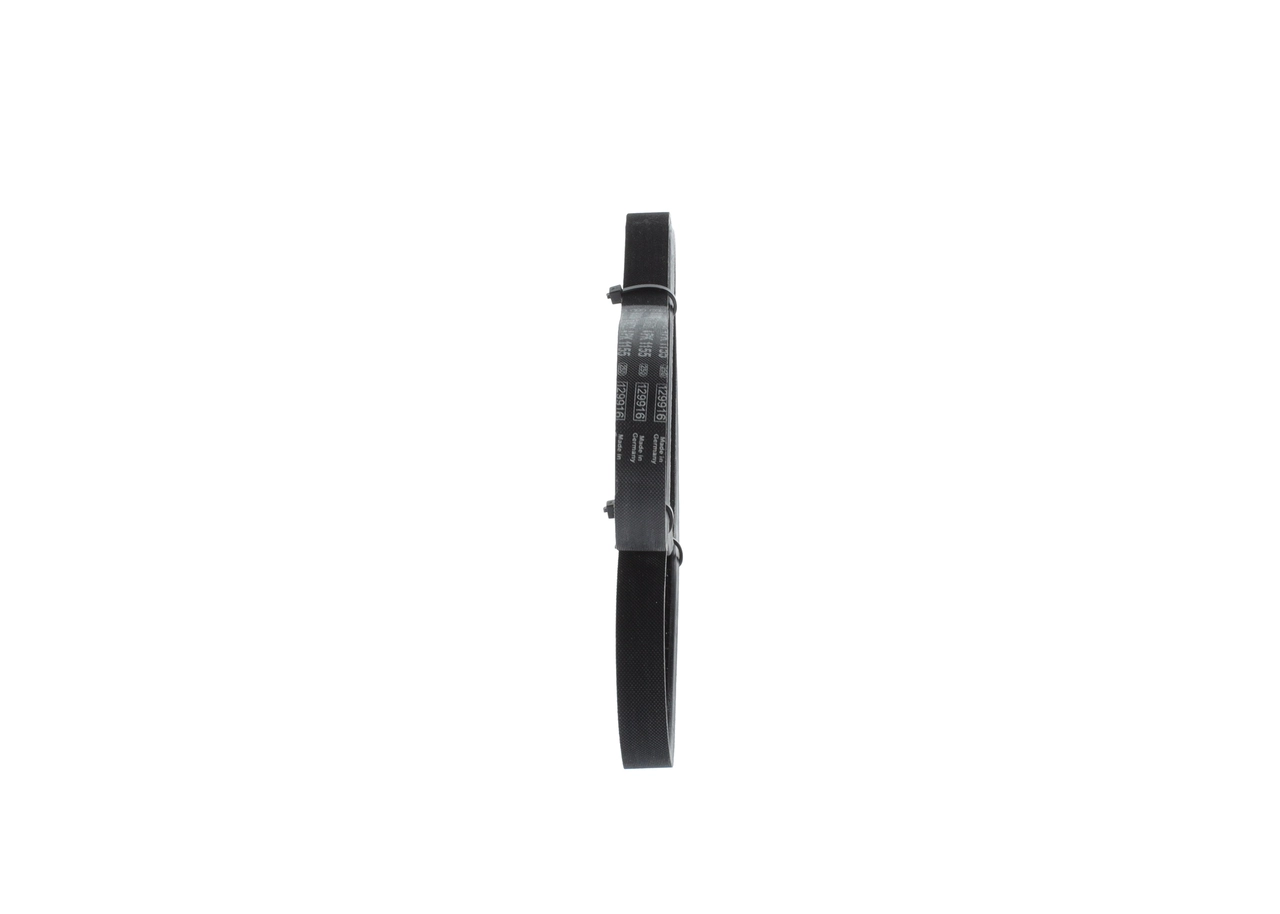 V-ribbed Belt