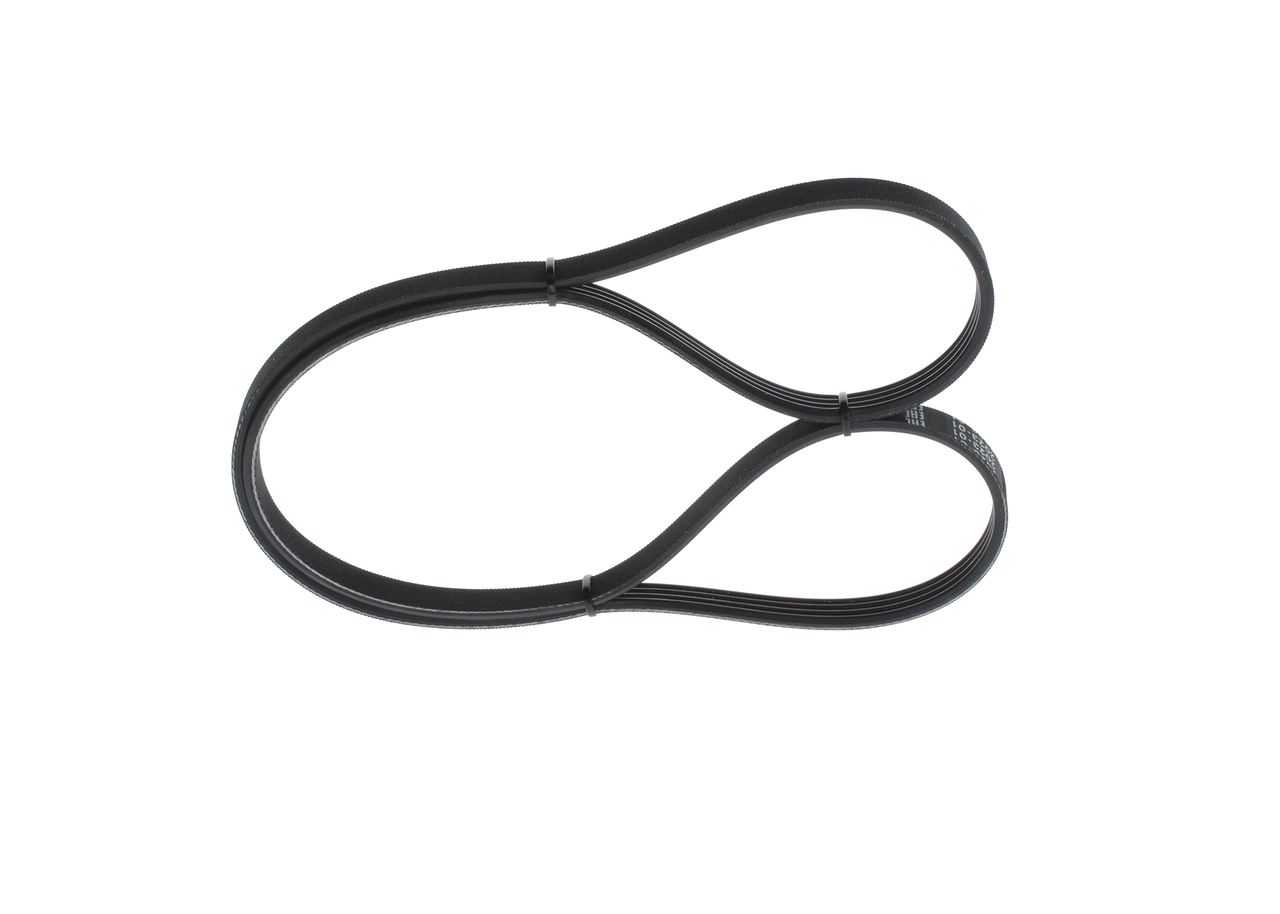 V-ribbed Belt