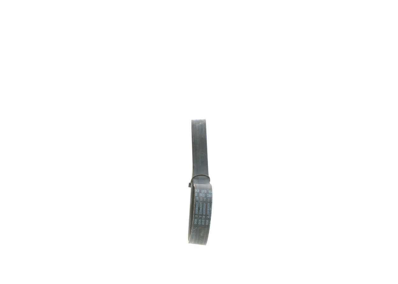 V-ribbed Belt