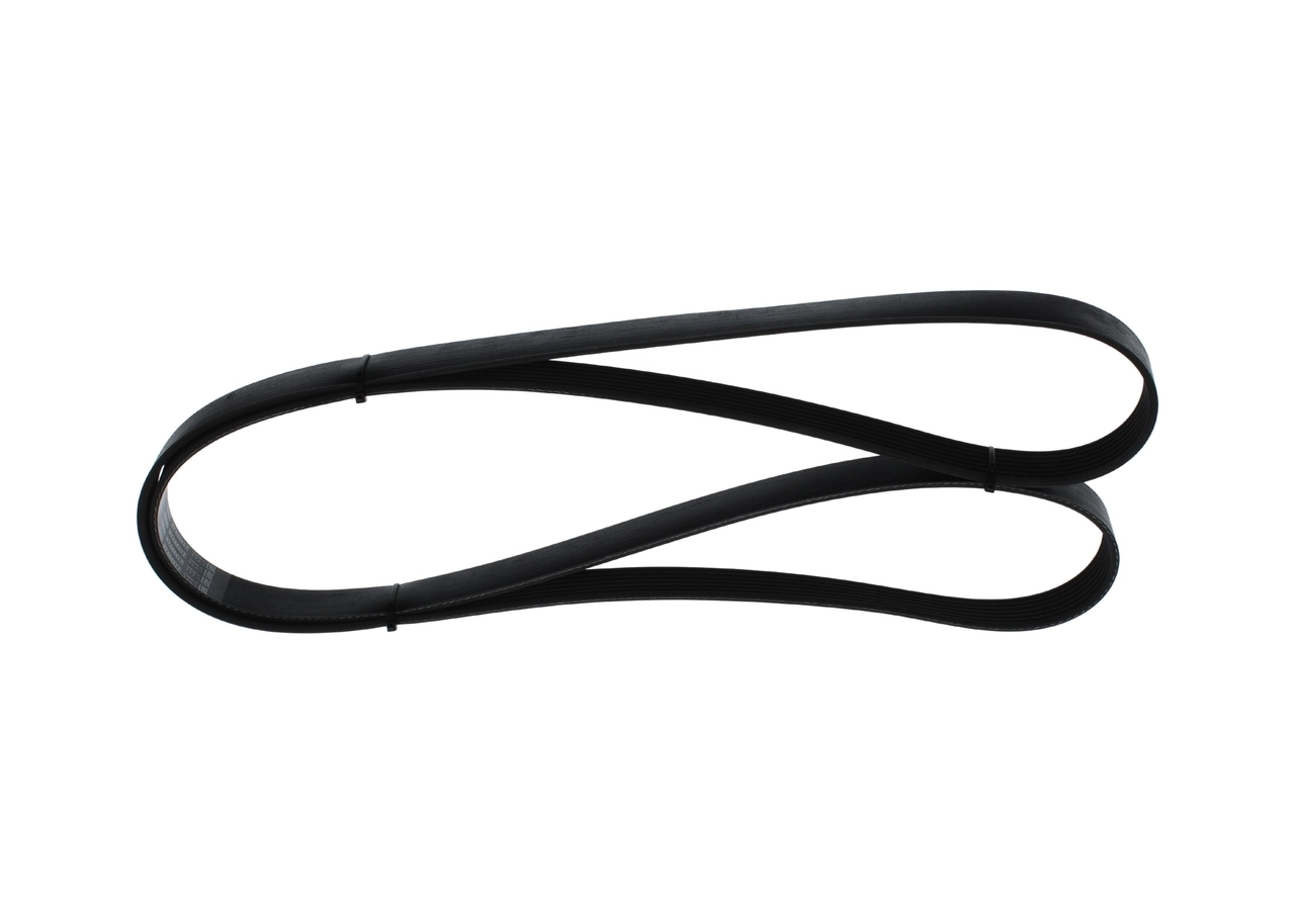 V-ribbed Belt