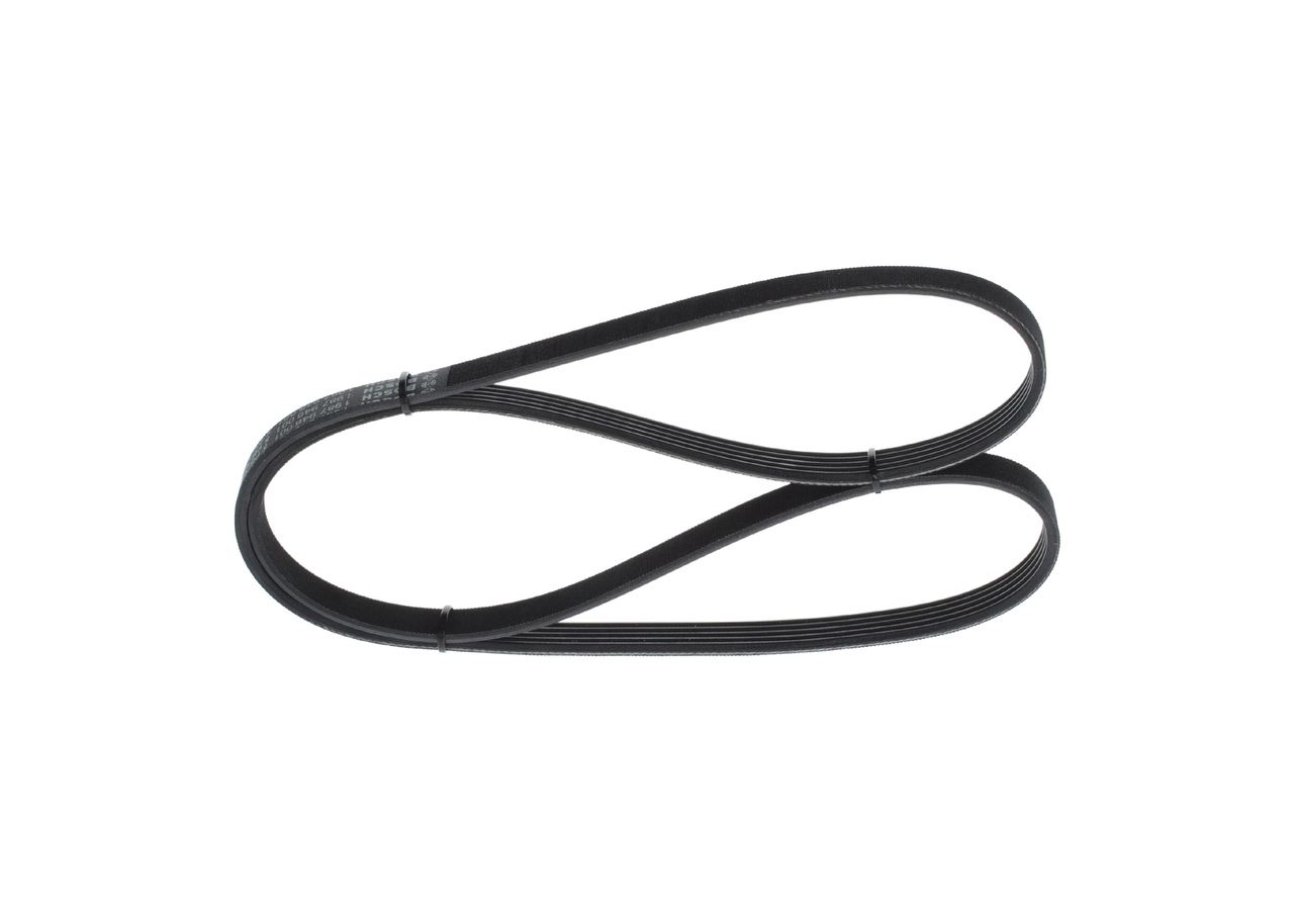 V-ribbed Belt