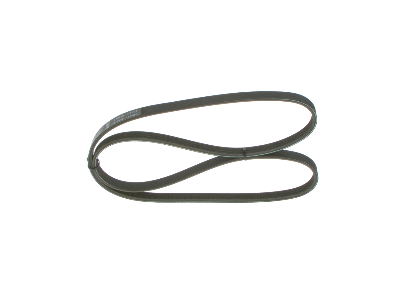 V-ribbed Belt