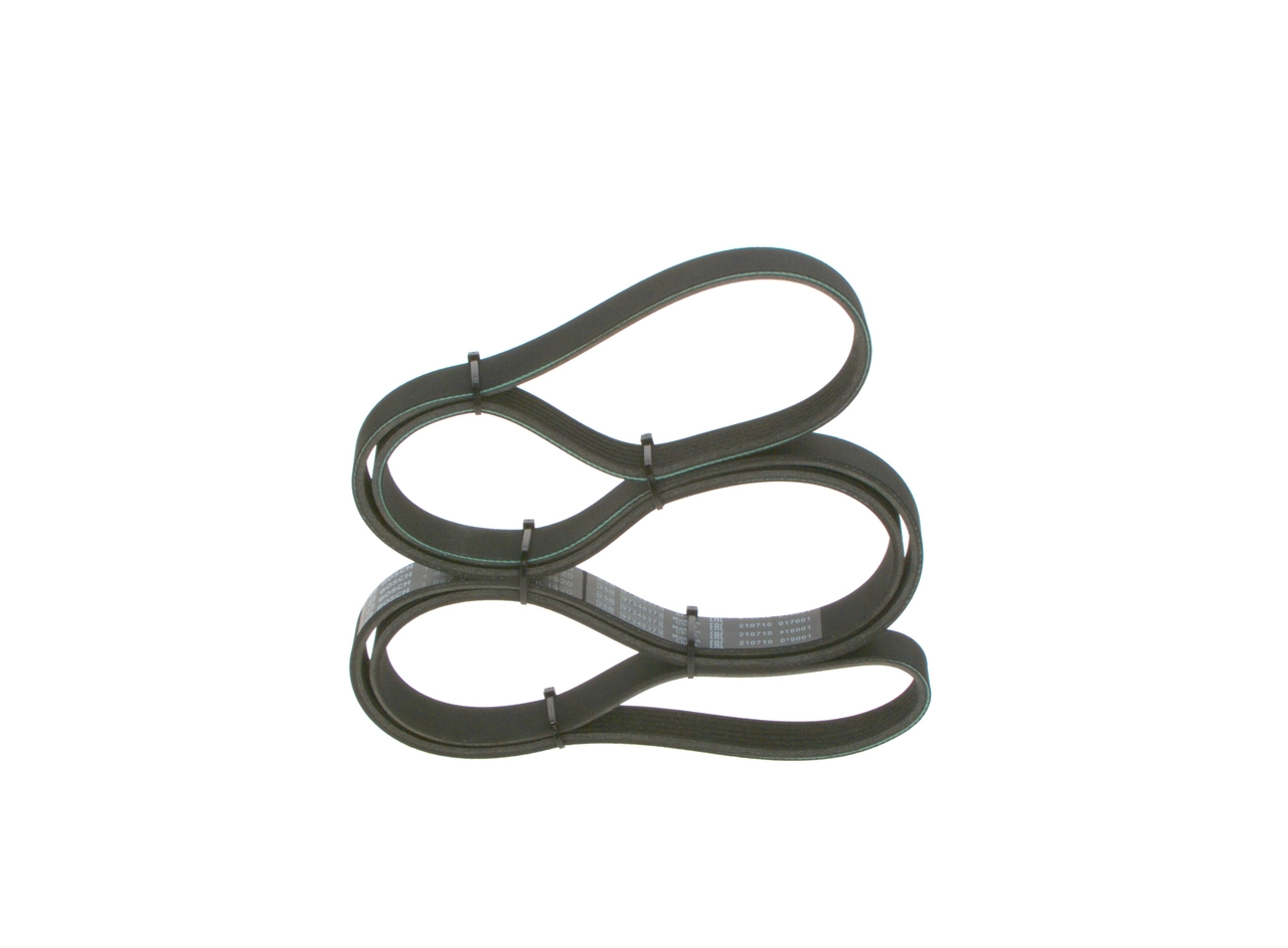 V-ribbed Belt