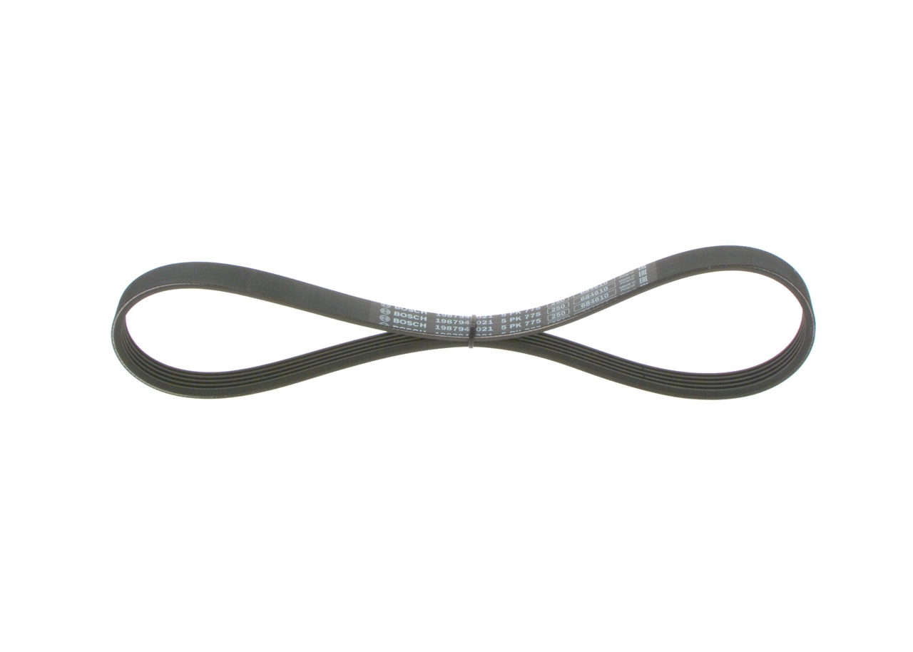 V-ribbed Belt