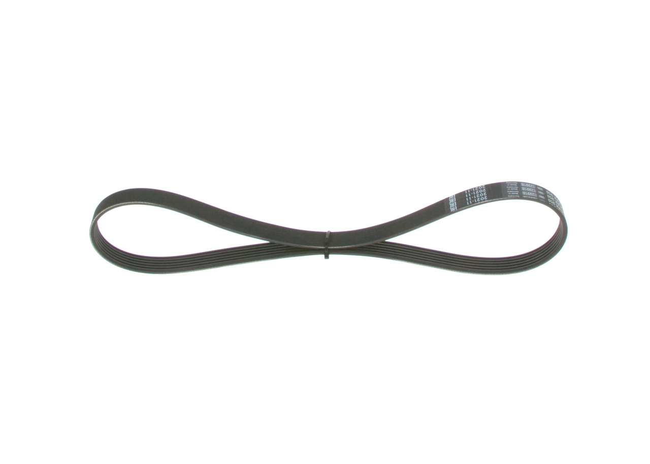 V-ribbed Belt