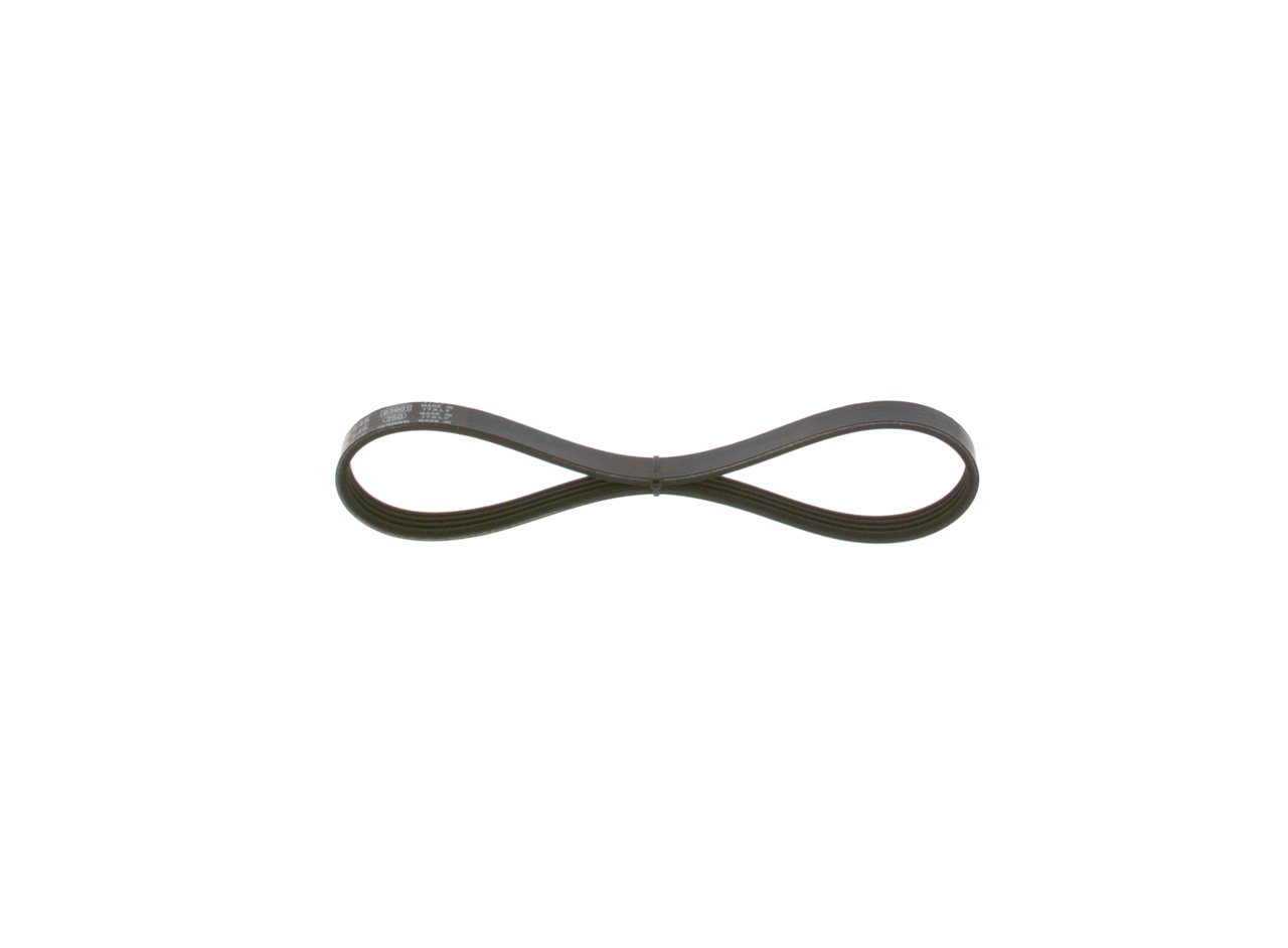 V-ribbed Belt