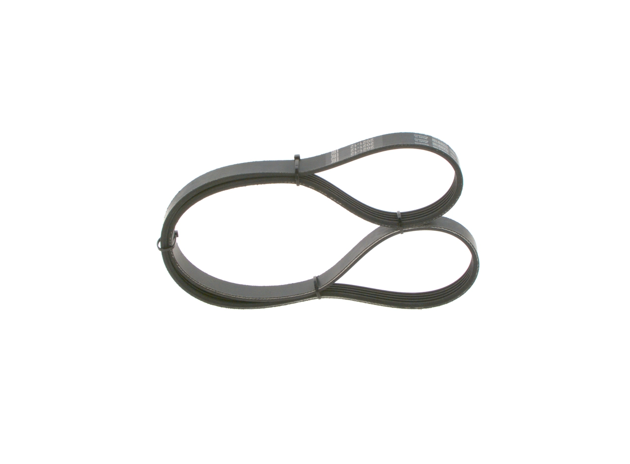 V-ribbed Belt