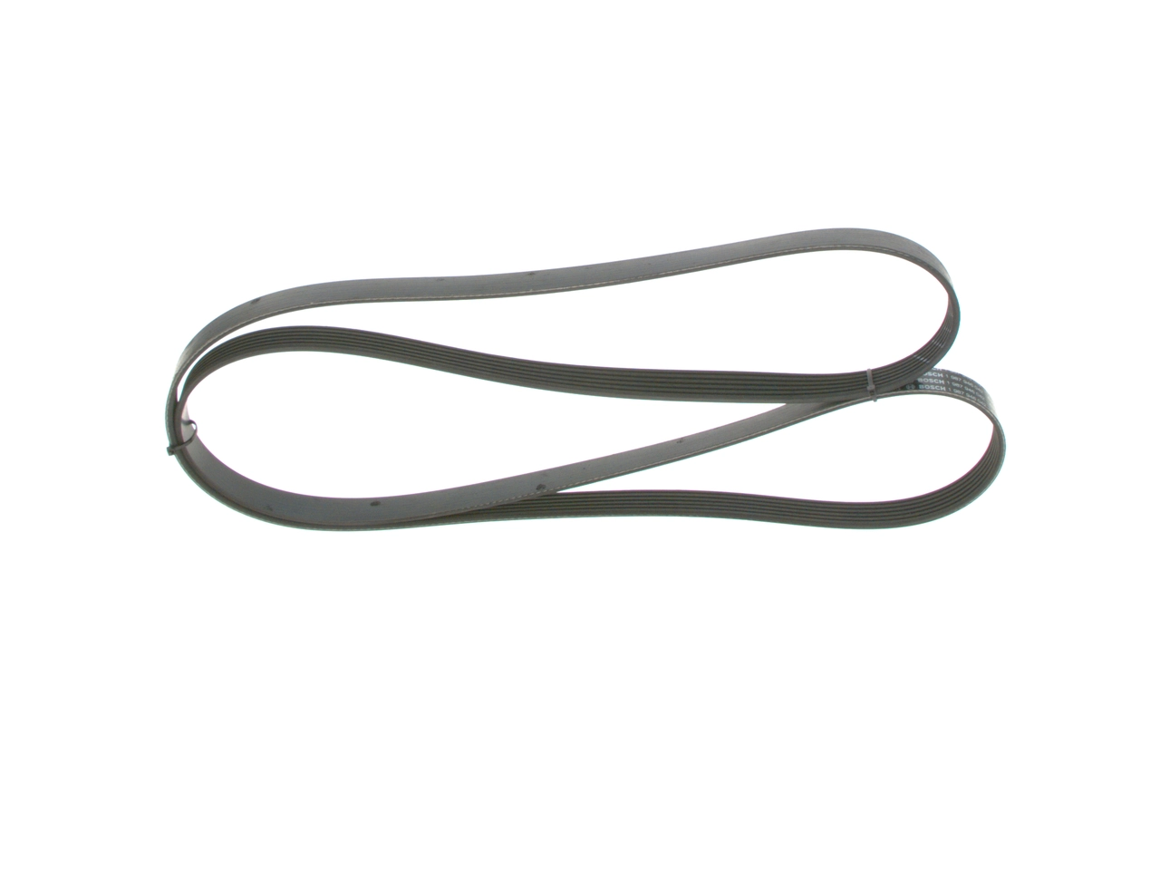 V-ribbed Belt