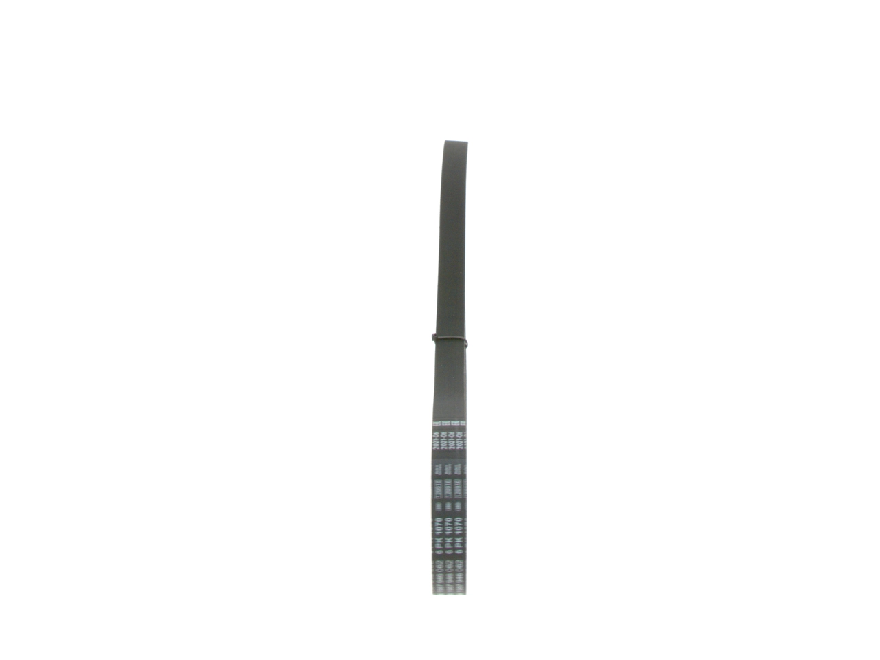 V-ribbed Belt