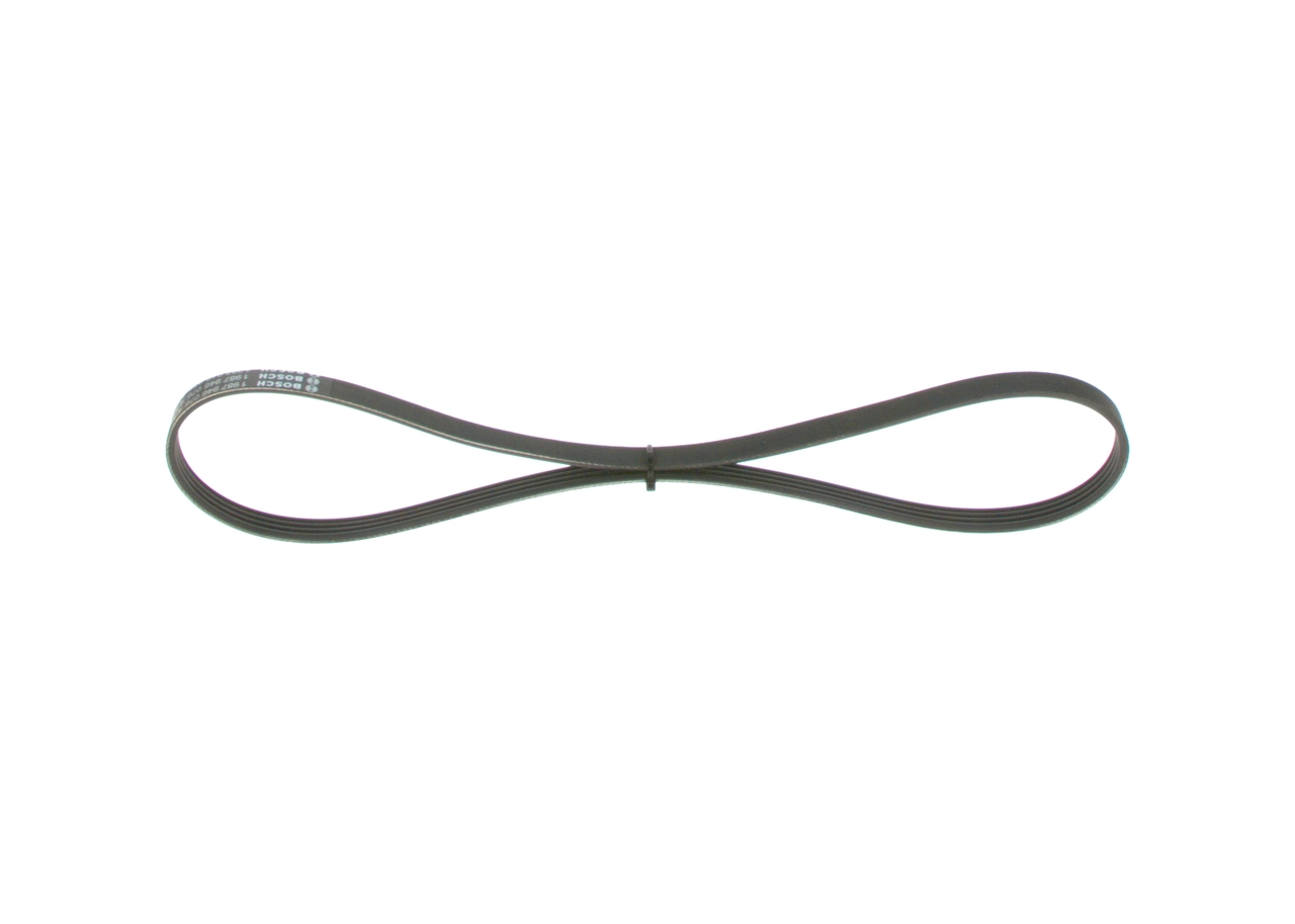 V-ribbed Belt