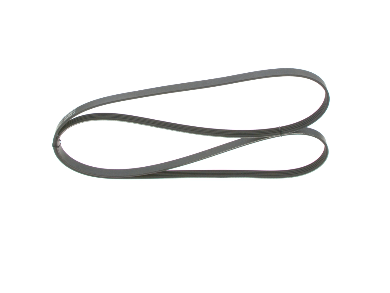 V-ribbed Belt