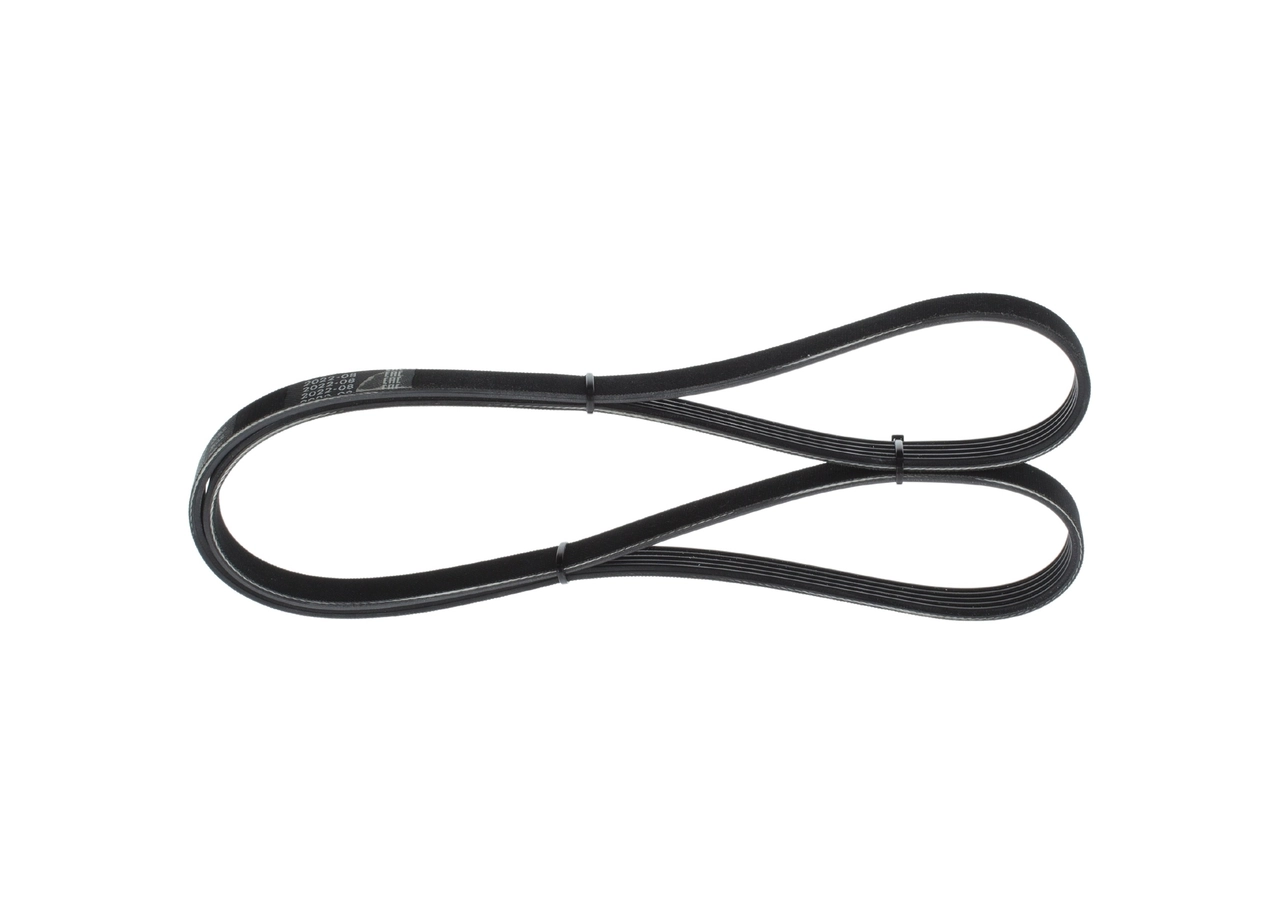 V-ribbed Belt