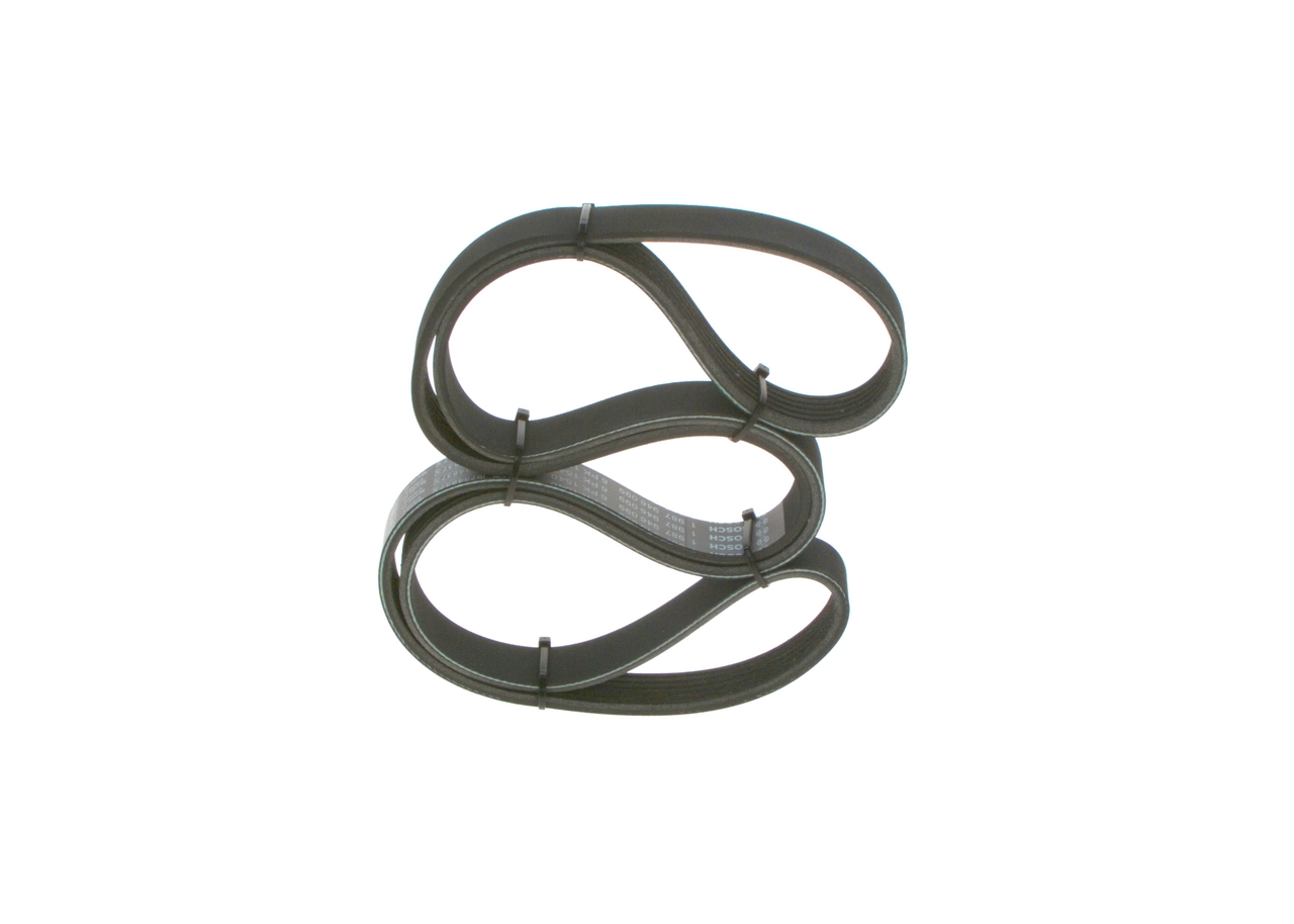 V-ribbed Belt