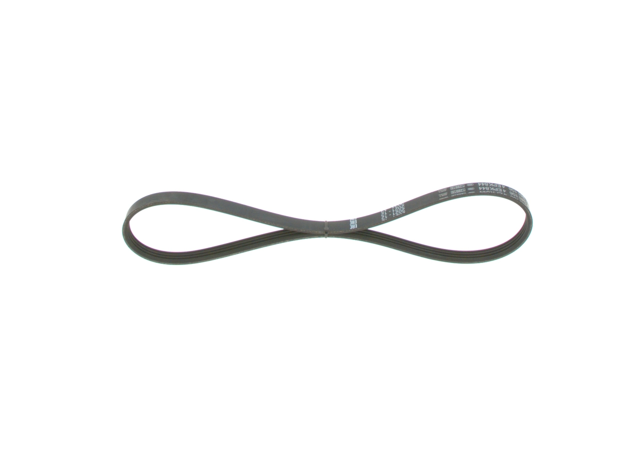 V-ribbed Belt