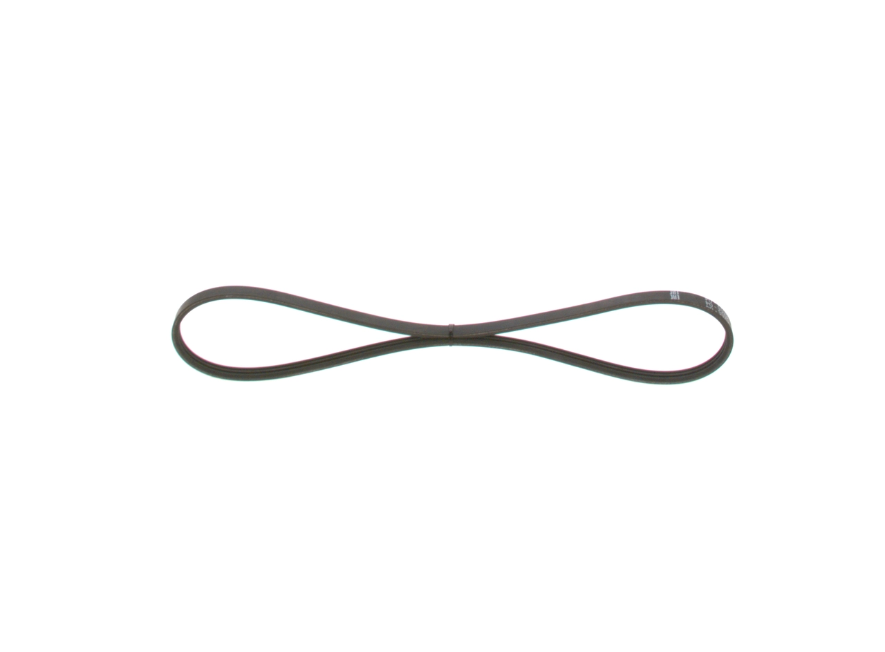 V-ribbed Belt
