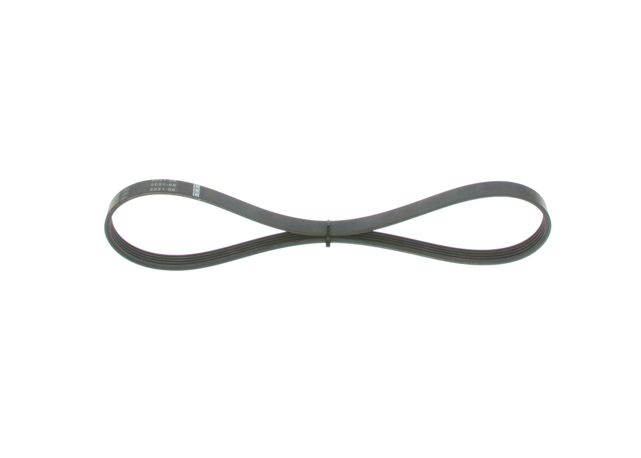 V-ribbed Belt