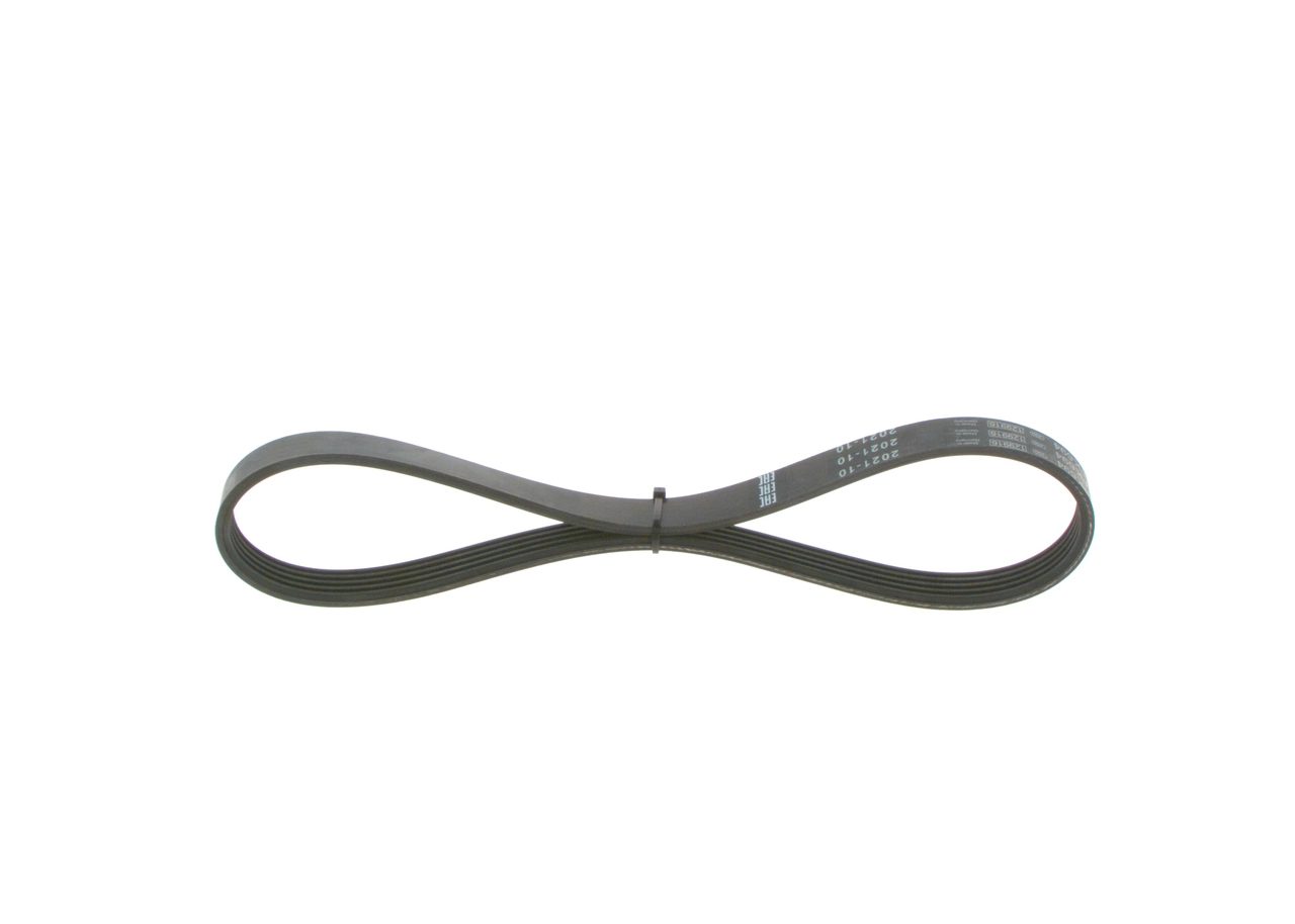 V-ribbed Belt
