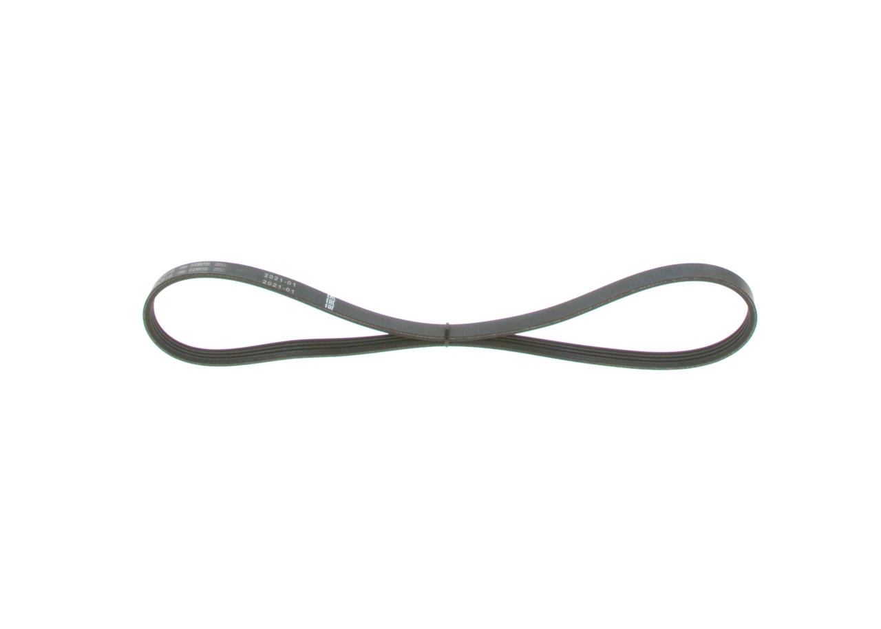 V-ribbed Belt