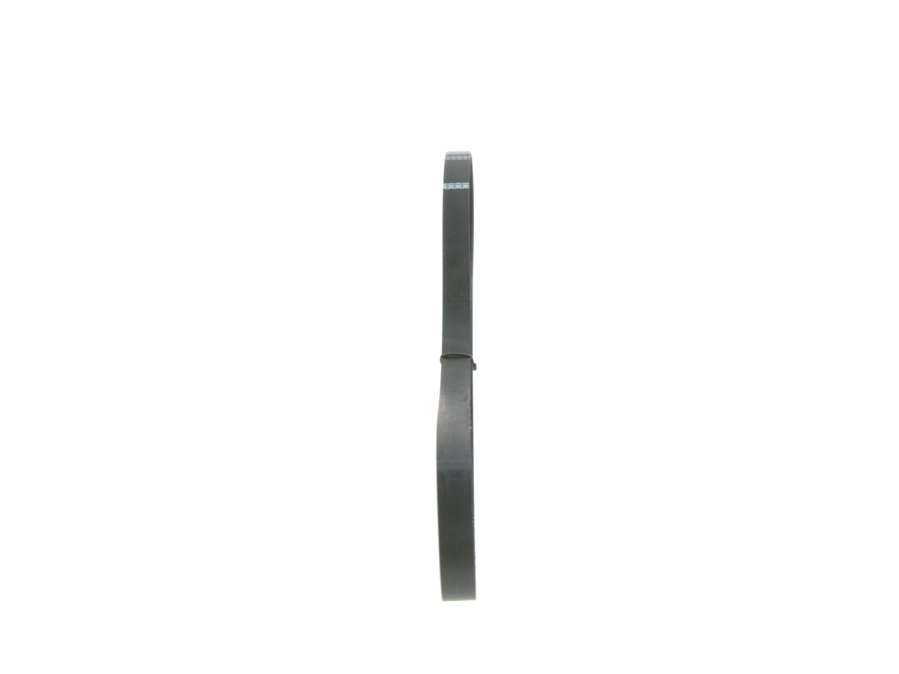 V-ribbed Belt