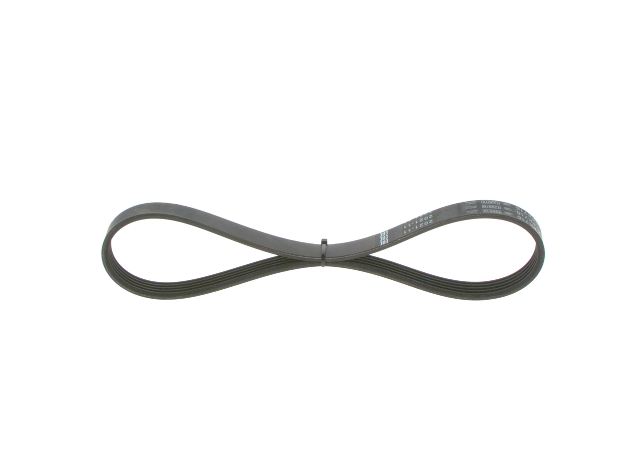 V-ribbed Belt