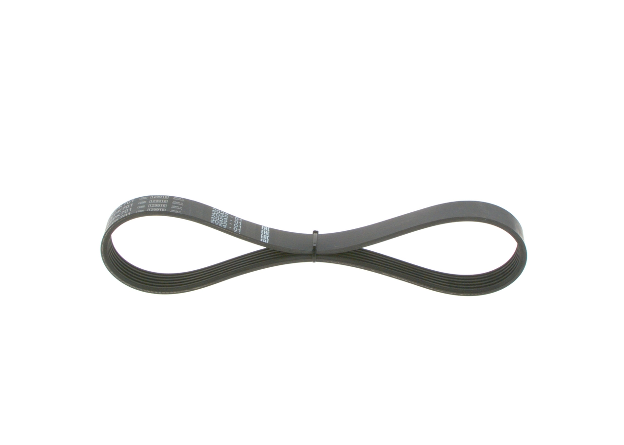 V-ribbed Belt