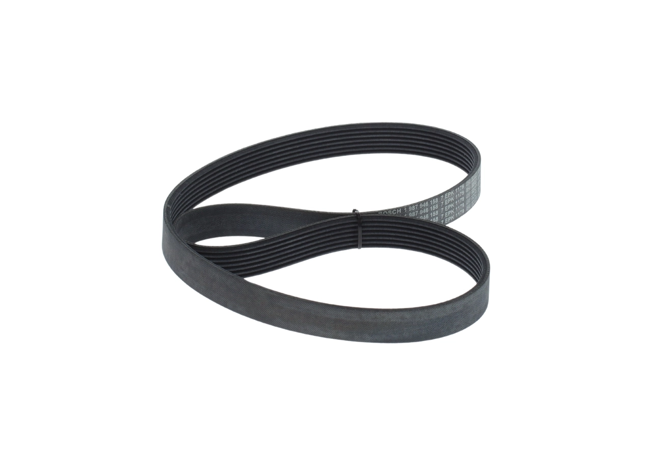 V-ribbed Belt