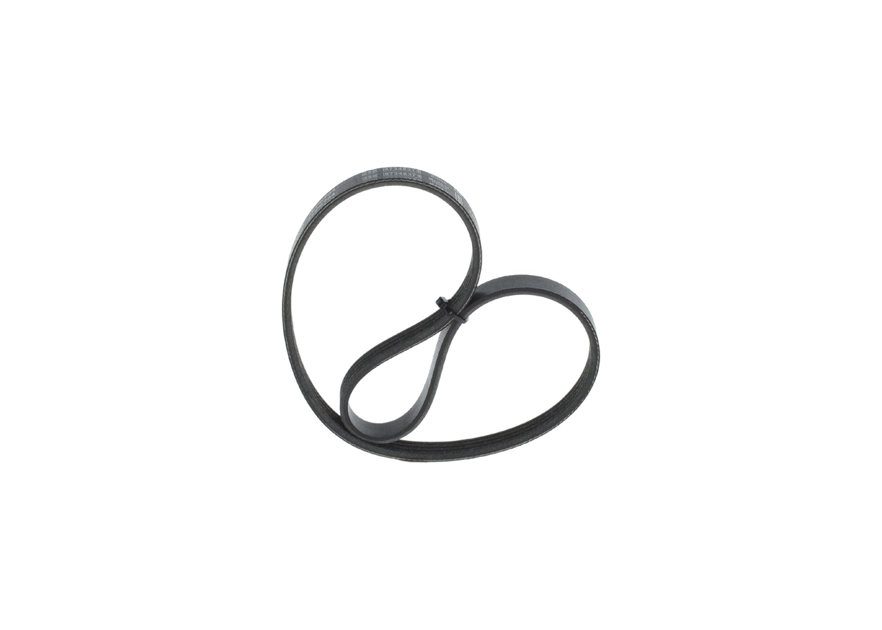 V-ribbed Belt
