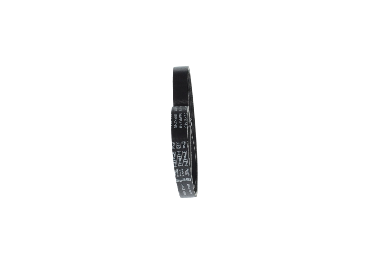 V-ribbed Belt