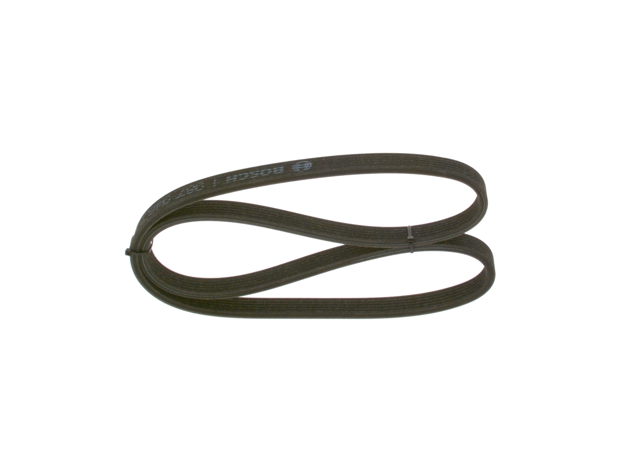 V-ribbed Belt
