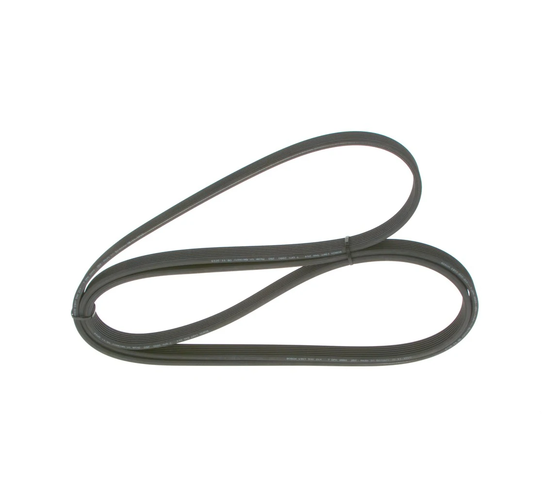 V-ribbed Belt