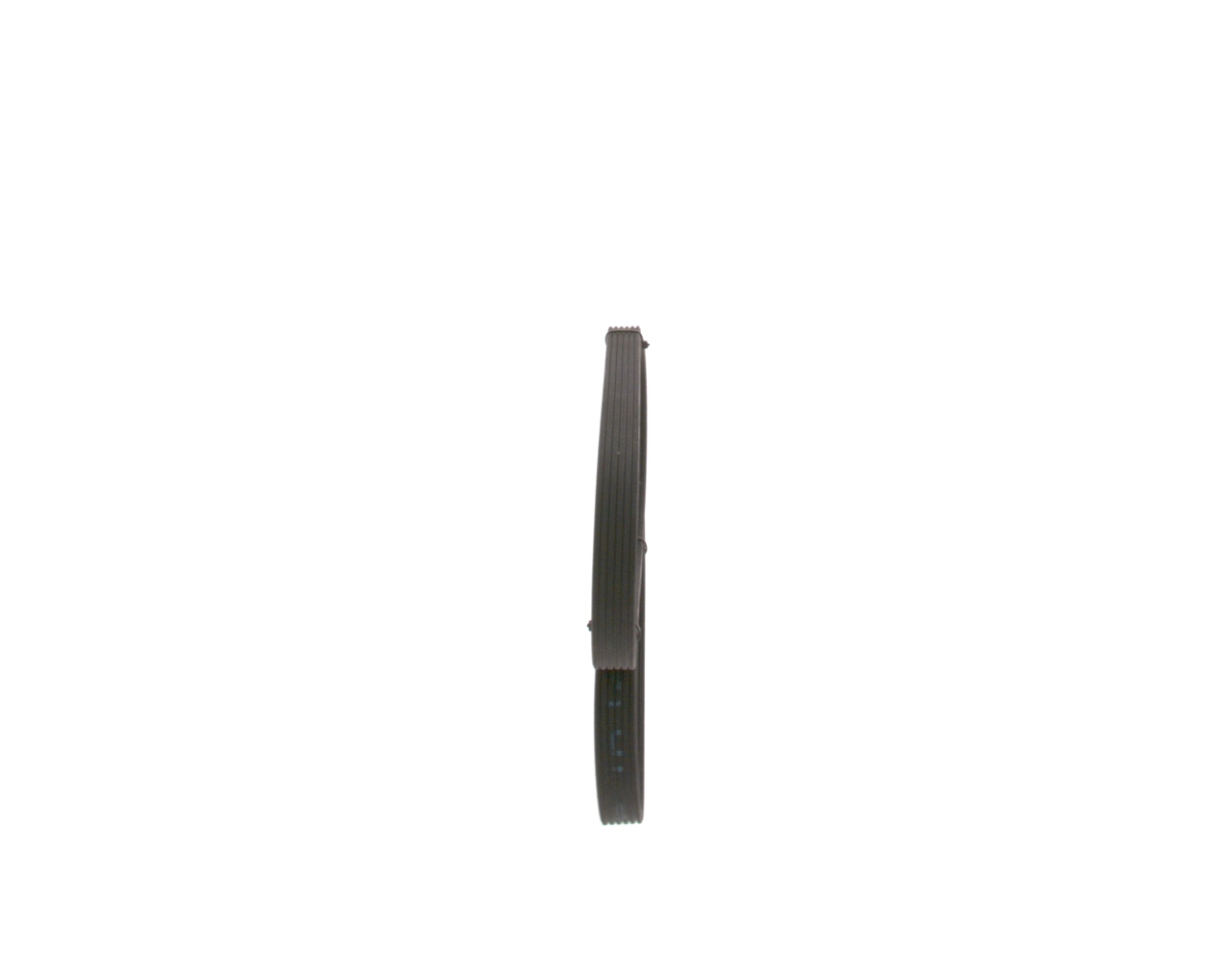 V-ribbed Belt
