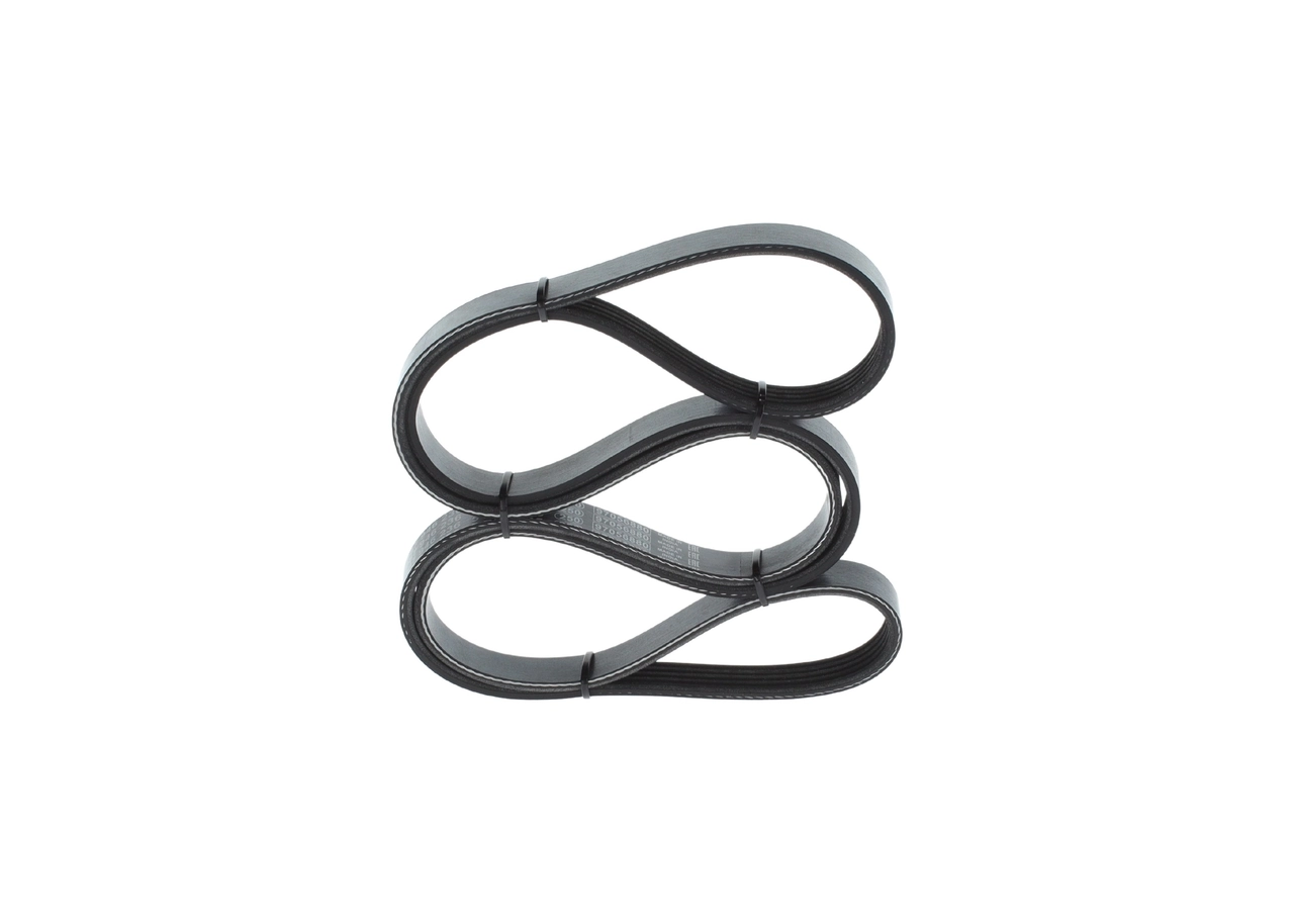 V-ribbed Belt