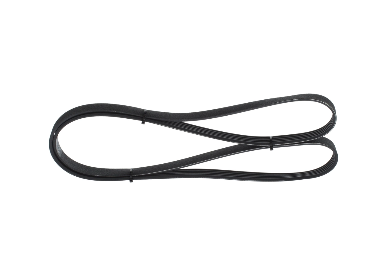 V-ribbed Belt