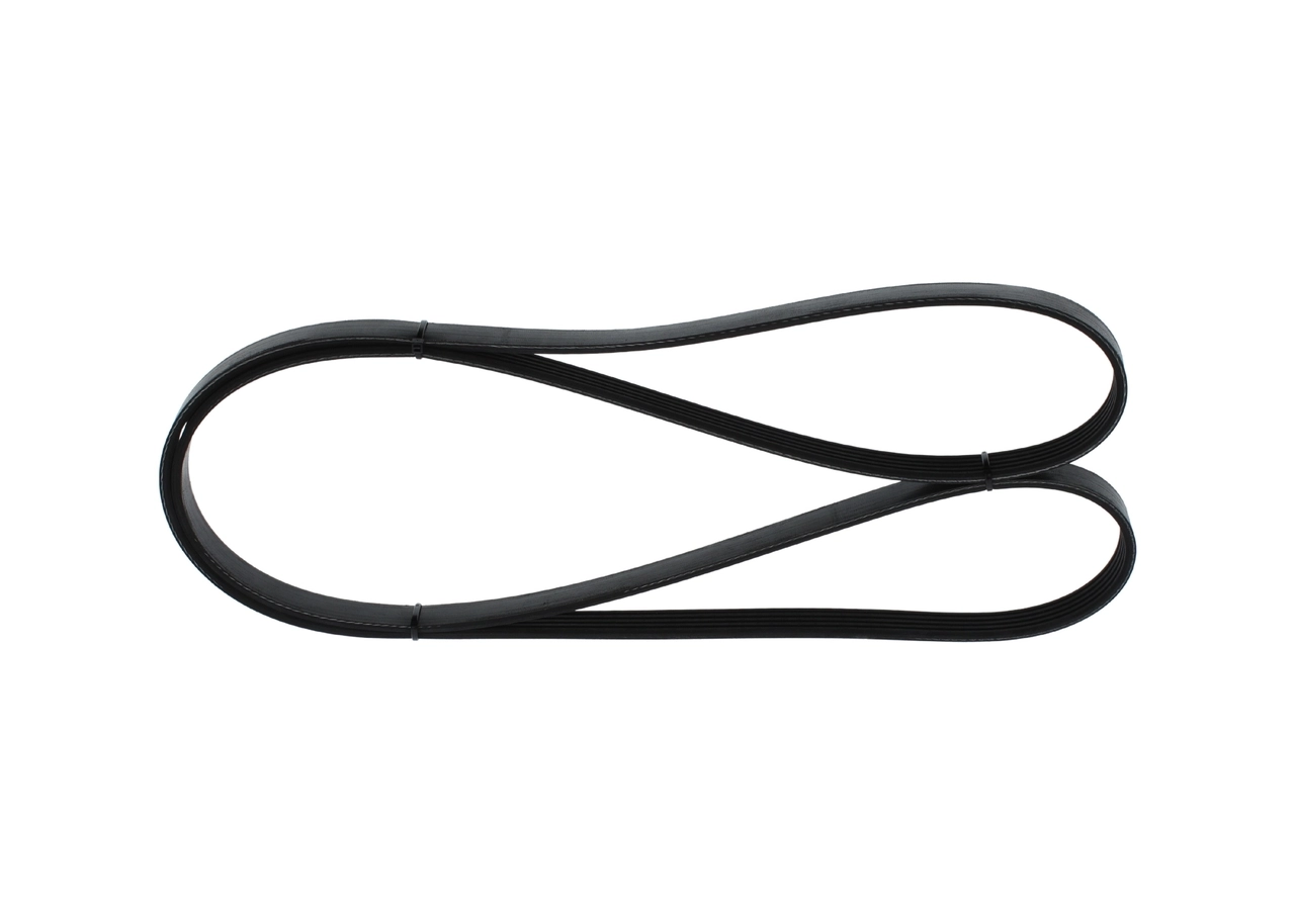 V-ribbed Belt