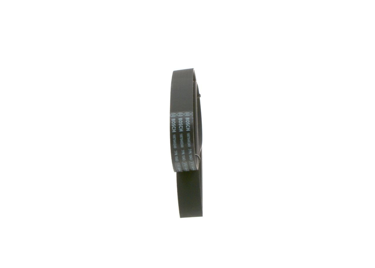 V-ribbed Belt