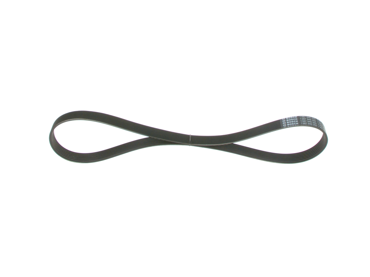 V-ribbed Belt