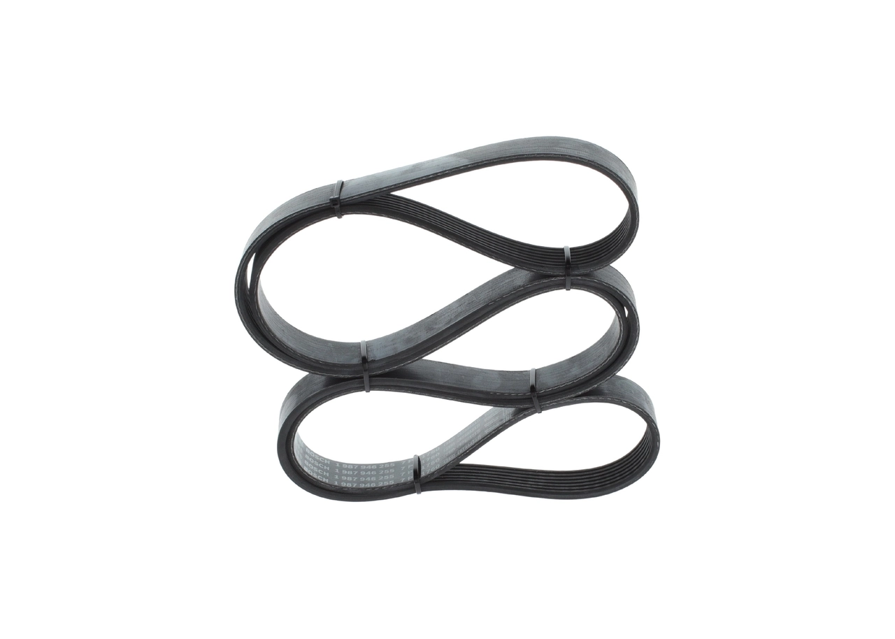 V-ribbed Belt
