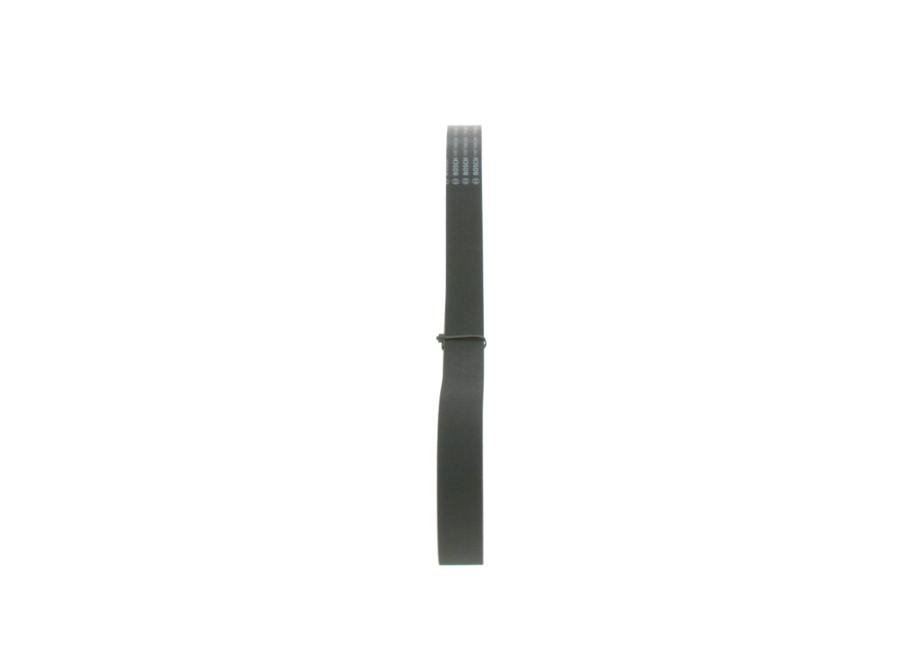 V-ribbed Belt