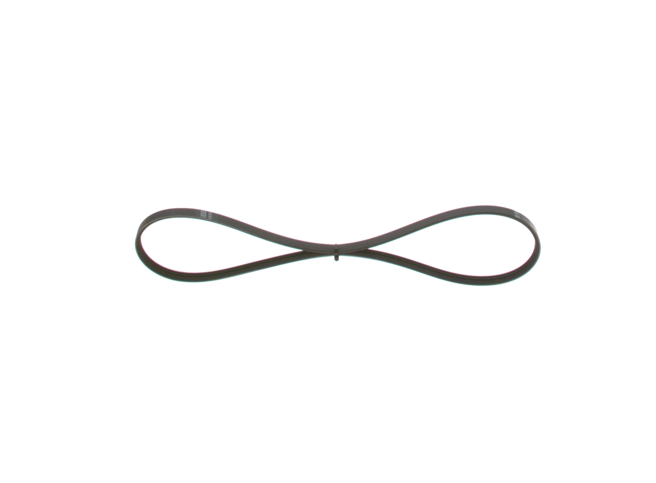 V-ribbed Belt