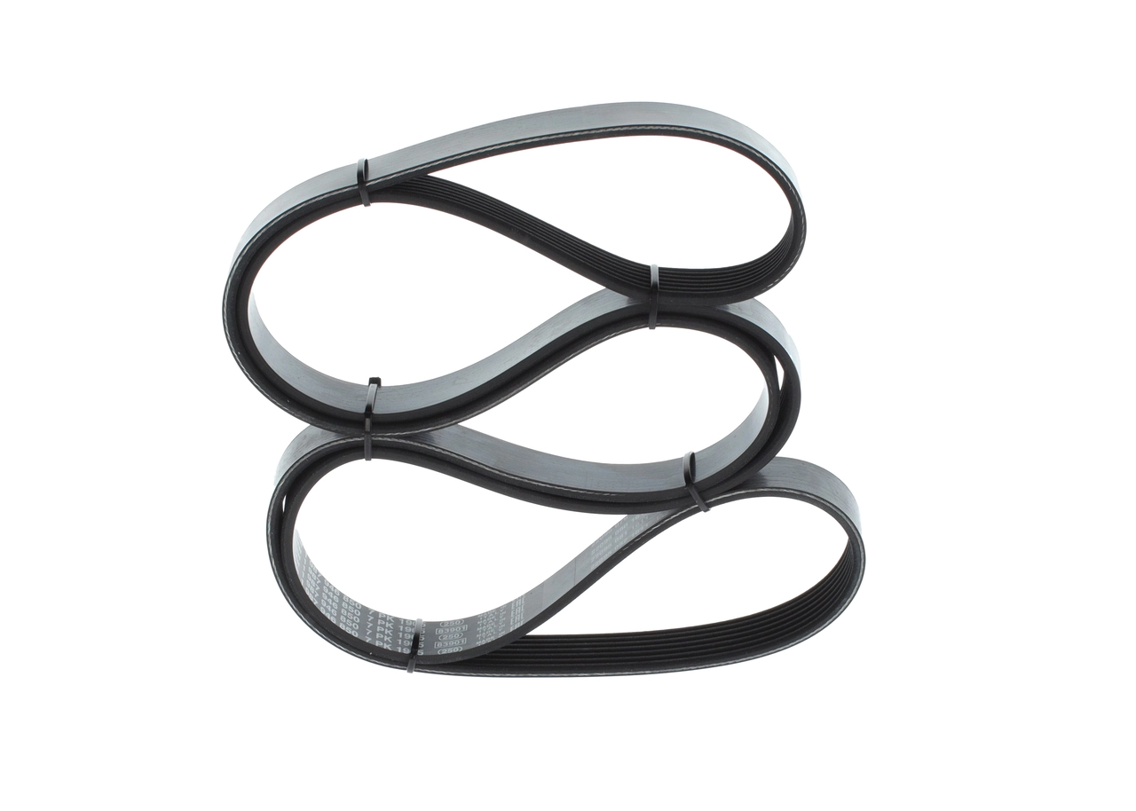 V-ribbed Belt