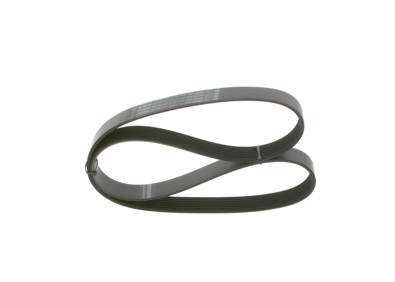V-ribbed Belt