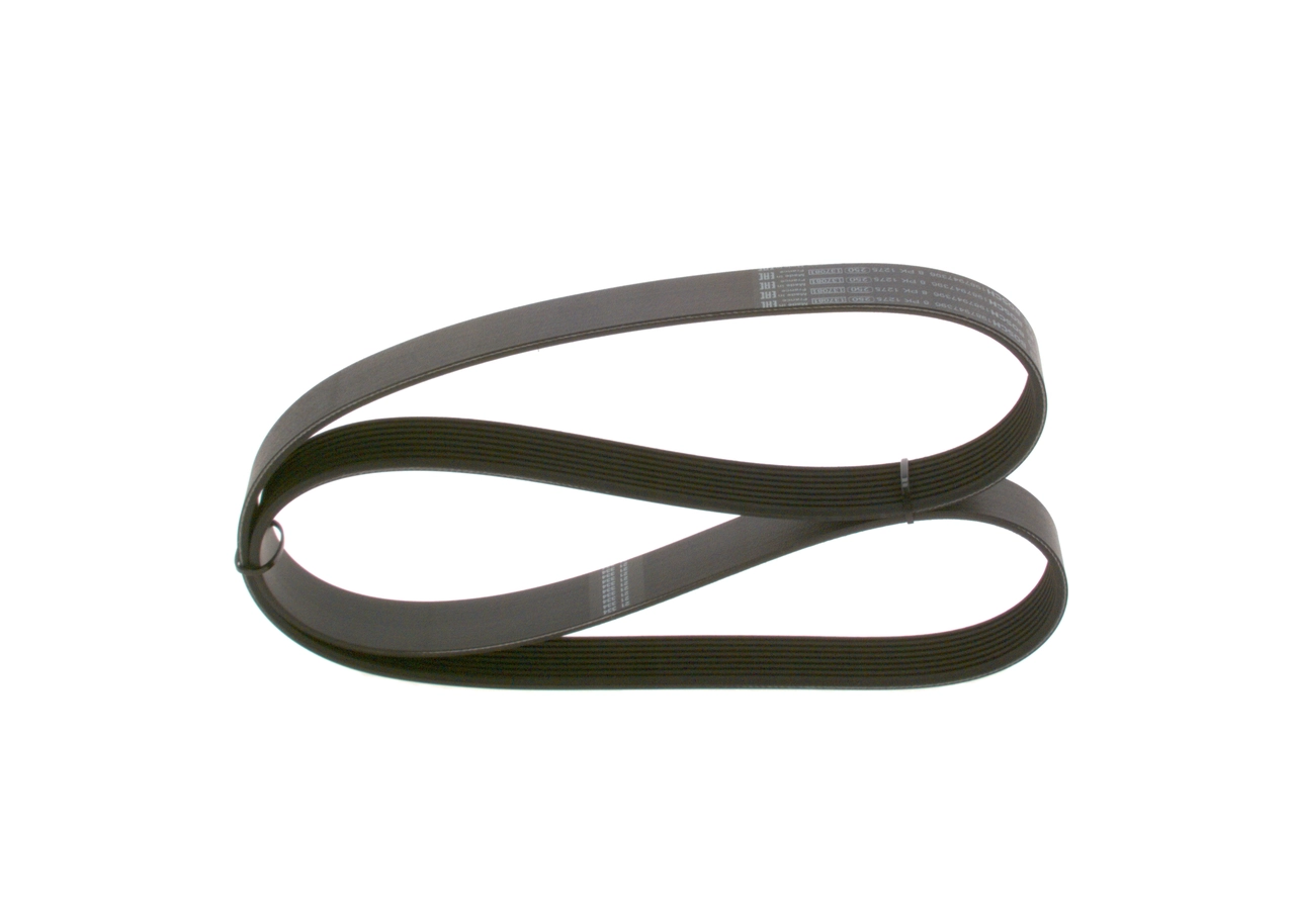V-ribbed Belt