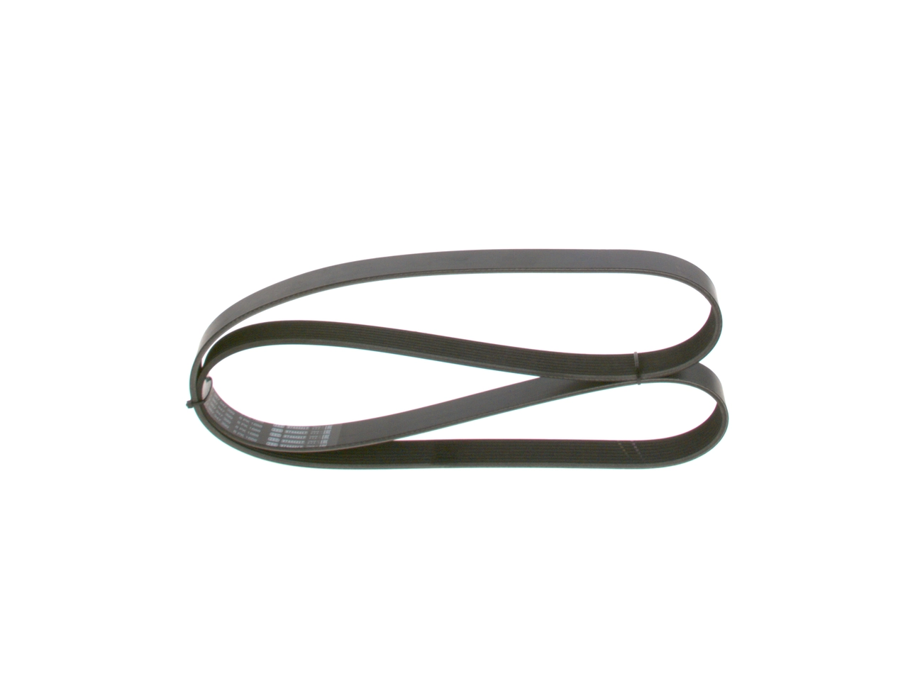 V-ribbed Belt
