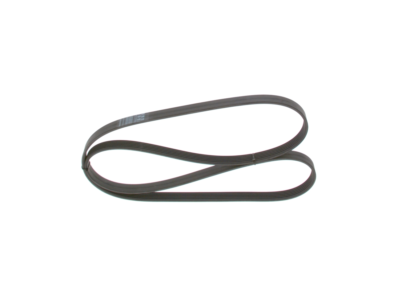 V-ribbed Belt