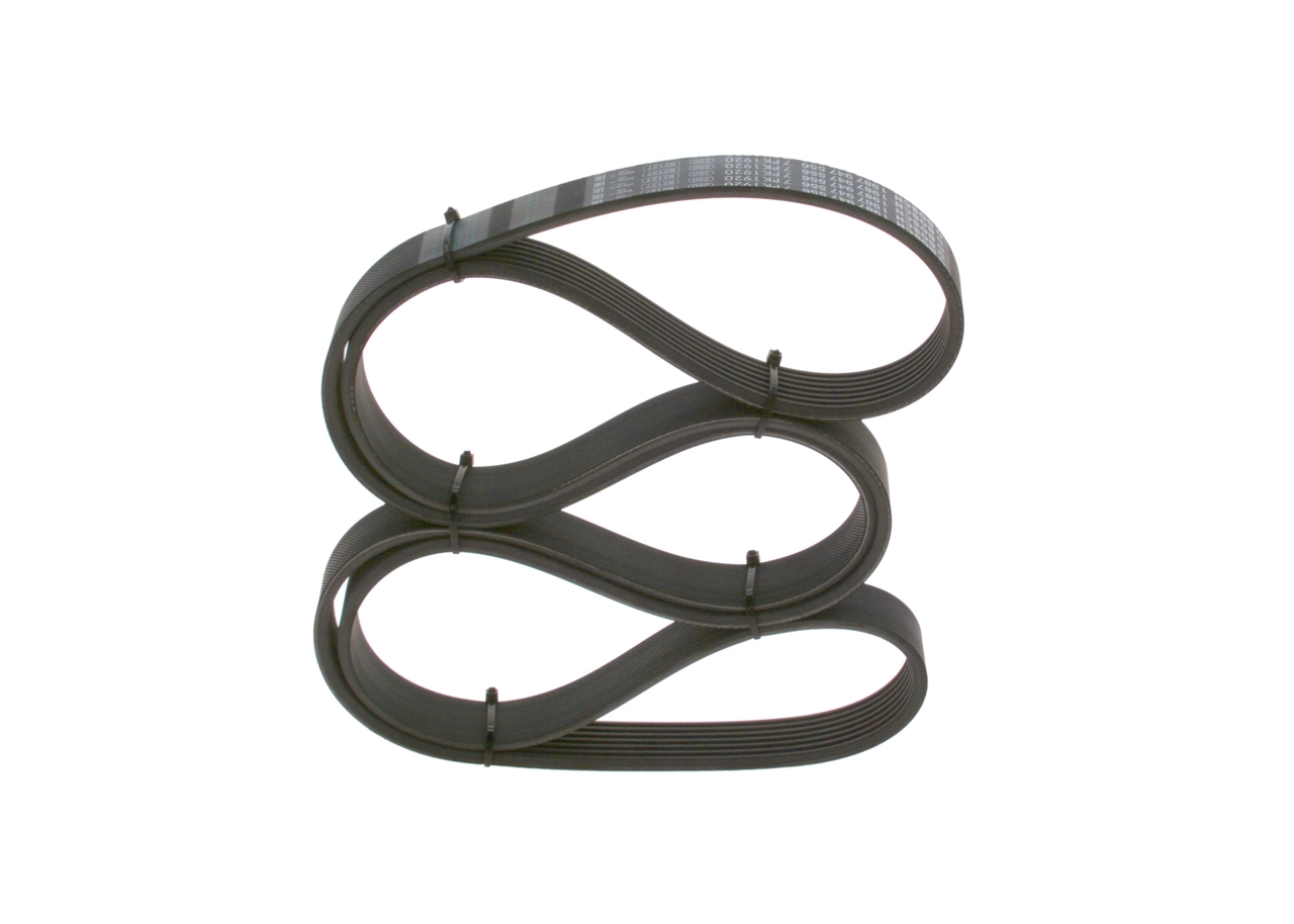 V-ribbed Belt
