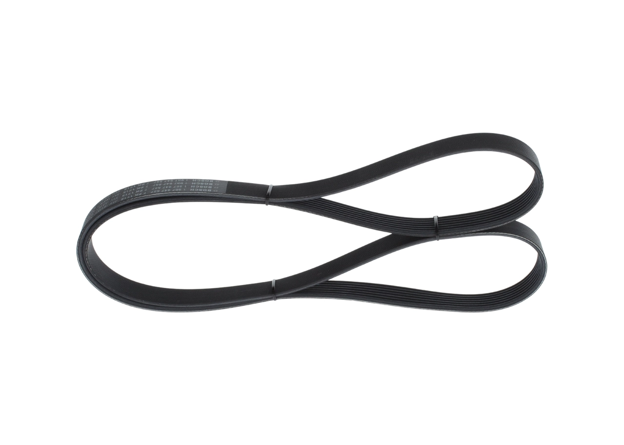 V-ribbed Belt