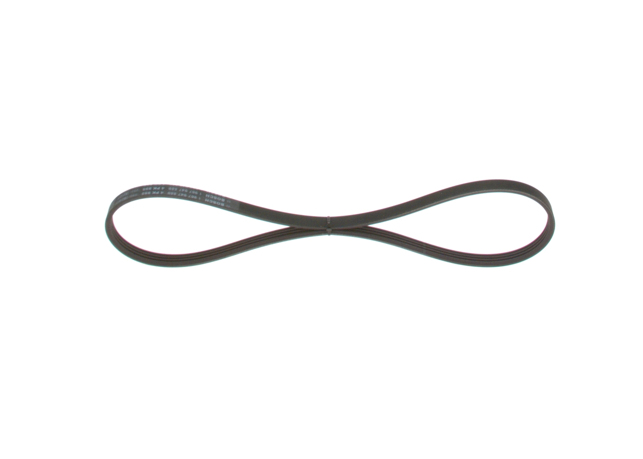 V-ribbed Belt