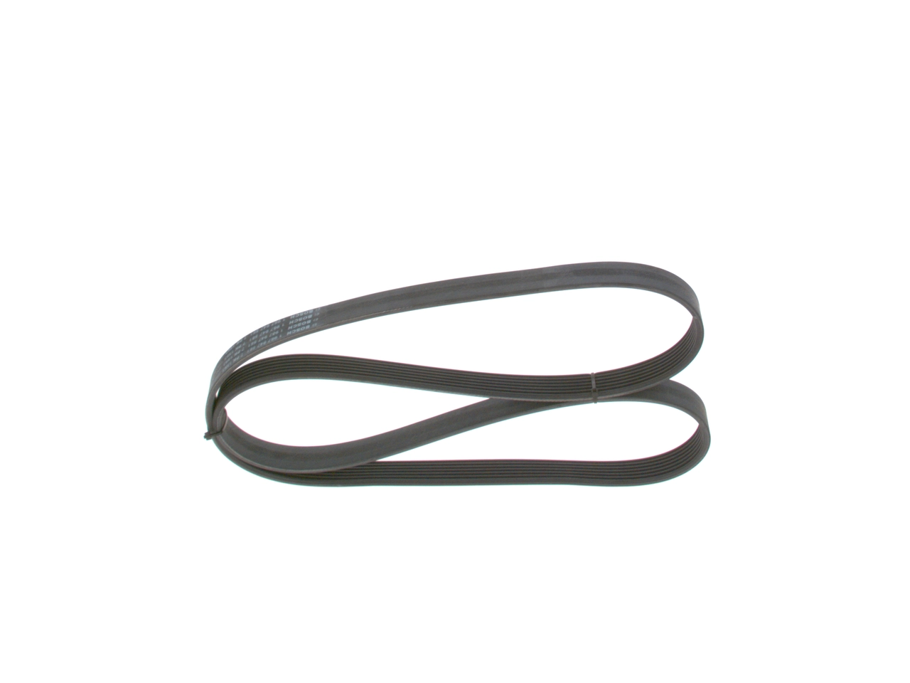 V-ribbed Belt