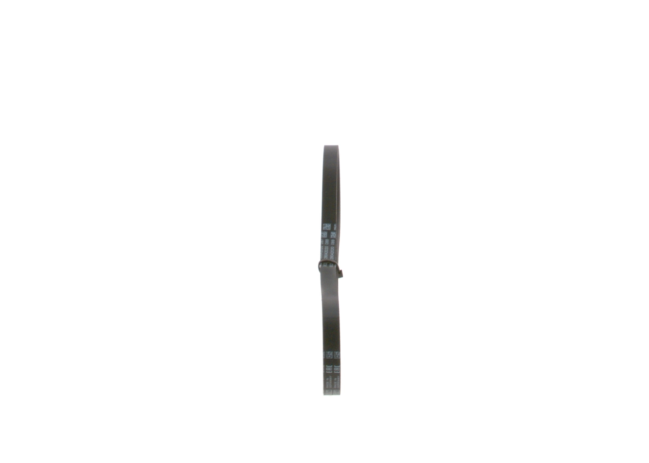 V-ribbed Belt